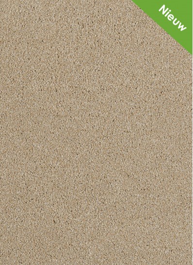 Xtreme SDN 33 Xtreme SDN 33